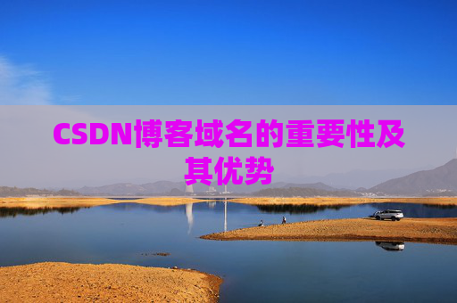 CSDN博客域名的重要性及其优势